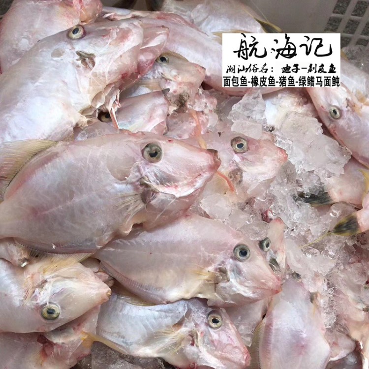 新鮮海魚冷凍深海水產(chǎn)野生海鮮潮汕冰鮮魚凍品海鮮海味生鮮馬面魚