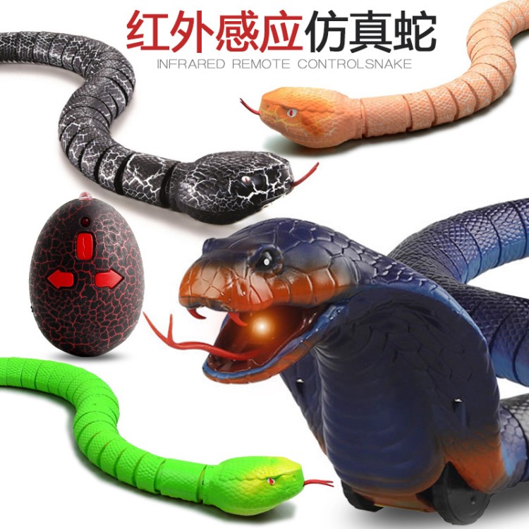 紅外線遙控動物昆蟲整盅玩具仿真眼鏡蛇螞蟻蜘蛛鱷魚蝎子烏龜蟑螂