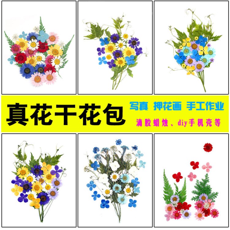 干花壓花diy材料包 押花書簽滴膠手機殼植物標本手工寫真花妝材料