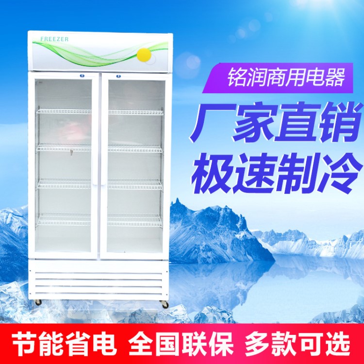 冷藏展示柜 單雙門飲料啤酒果蔬保鮮冷藏柜 便利店設(shè)備冷藏展示柜