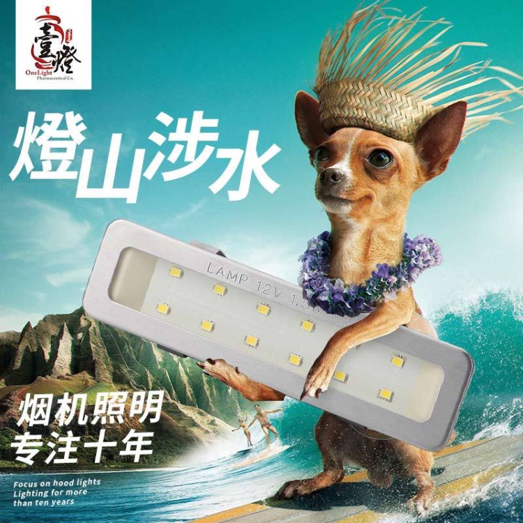 抽油煙機燈配件led冷光照明燈220V 中歐式側吸油煙機燈12V