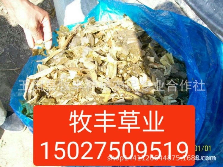 玉米秸稈飼草玉米價(jià)格青儲(chǔ)打包飼草秸稈拉伸膜玉米秸稈微儲(chǔ)飼草