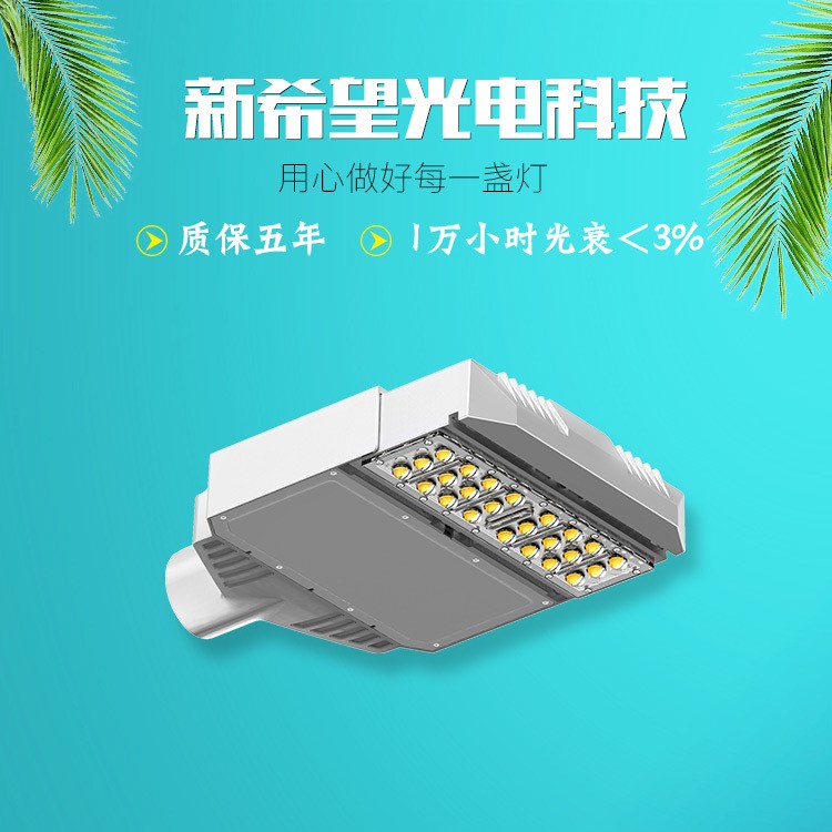 现货 LD-S道路灯头 单模组 LD30S：50W路政工程用户外照明