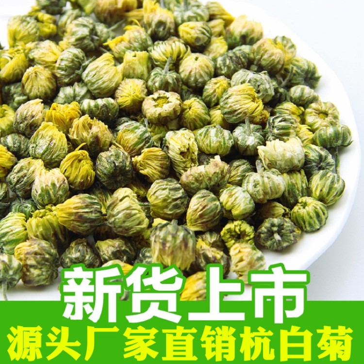 浙江桐乡胎菊花茶 杭白菊贡菊野生菊花茶杭州500克散装罐装