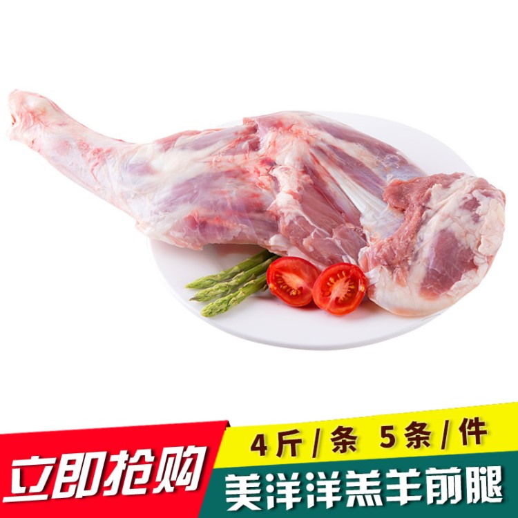 美洋洋大羊前腿 羔羊前腿 羊肉羊腿肉 冷凍羊腿內(nèi)蒙古羊腿20斤/件