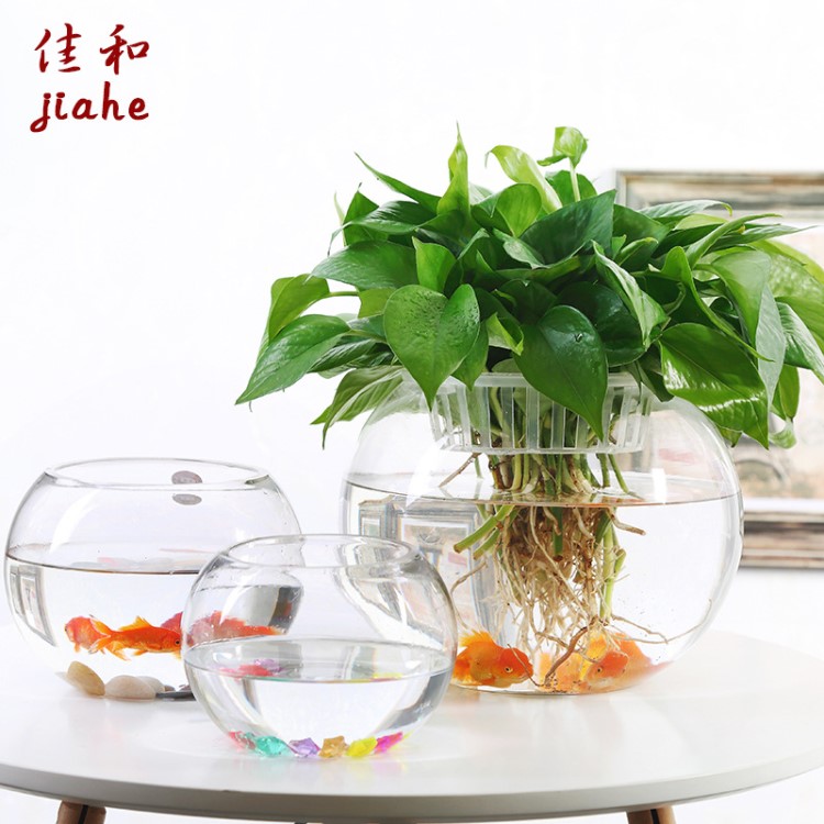 大號(hào)玻璃水培桌面花盆銅錢(qián)植物水養(yǎng)綠籮辦公室草簡(jiǎn)約圓形透明魚(yú)缸