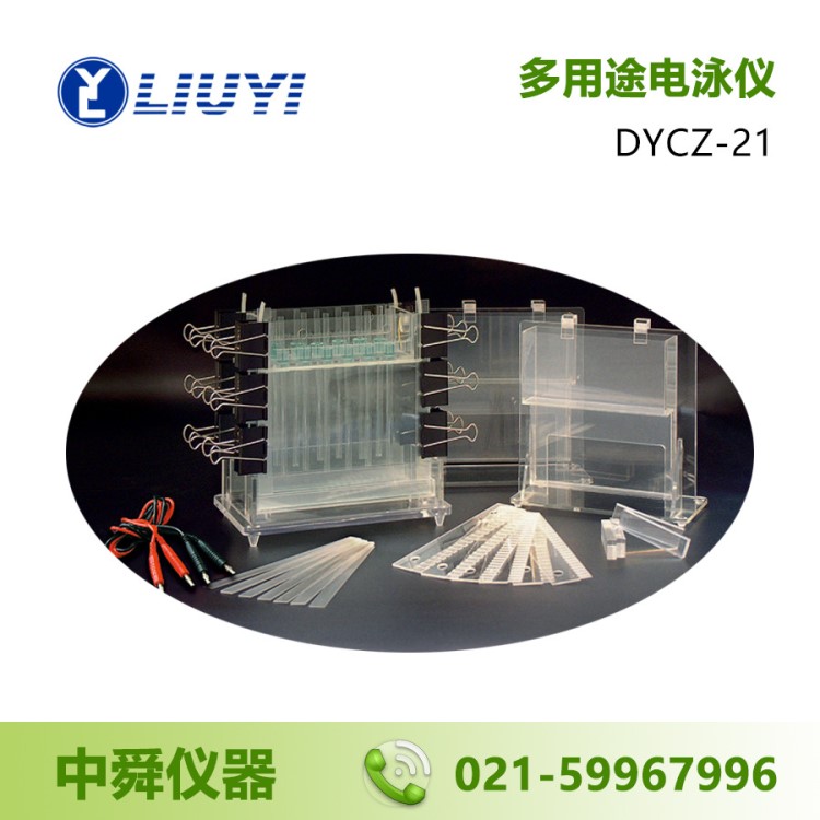 北京六一 DYCZ-21 多用途電泳儀 電泳槽 普通教學(xué)實(shí)驗(yàn)裝置