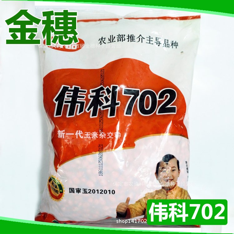 種子偉科702新一代玉米雜交種 軸細(xì)大穗 抗病抗倒玉米種子