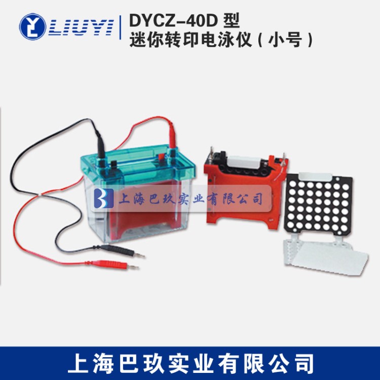 【北京六一】DYCZ-40D电泳仪 迷你转印电泳仪(小号)