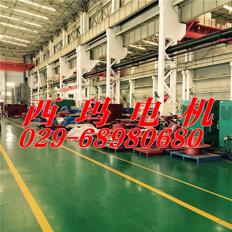 Y630-12/1430/630KW/10000V/IP23高壓電動(dòng)機(jī)