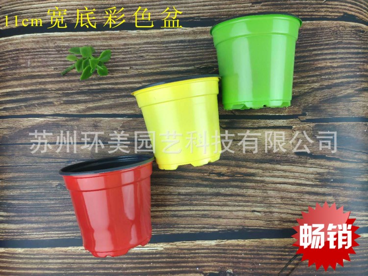 110W雙色花盆彩色塑料盆印刷帶圖案花盆育苗盤營(yíng)養(yǎng)缽穴盤多肉