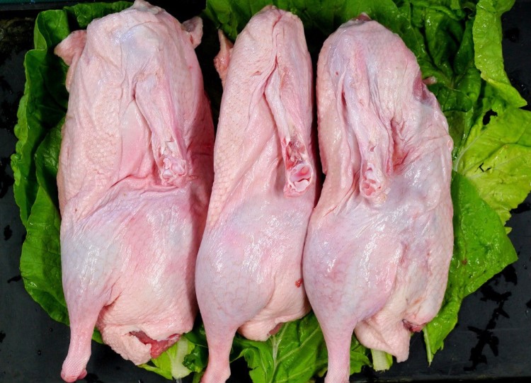 冷冻食品直销批发半边鸭10kg 烤鸭酱鸭原料 酒店餐厅