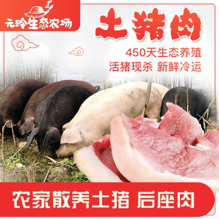 前腿肉后座肉元玲生態(tài)農(nóng)場新鮮土豬肉農(nóng)家散養(yǎng)