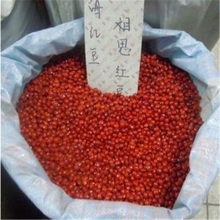 海紅豆種子 相思子 孔雀豆 紅心血菩提原籽 可種發芽盆栽當季新采