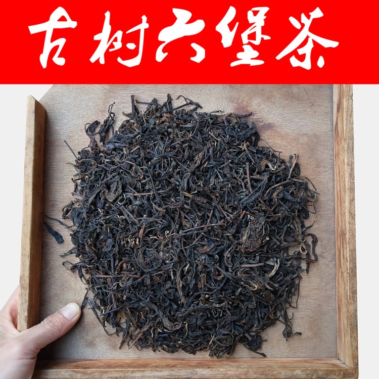 厂家直销广西梧州六堡茶 浓香型耐泡古树六堡茶 暖胃淡香批发散茶