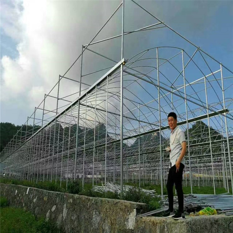 江西建設(shè)連棟溫室鋼架 貴州簡易連體塑料 靖江果蔬大棚用鋼架