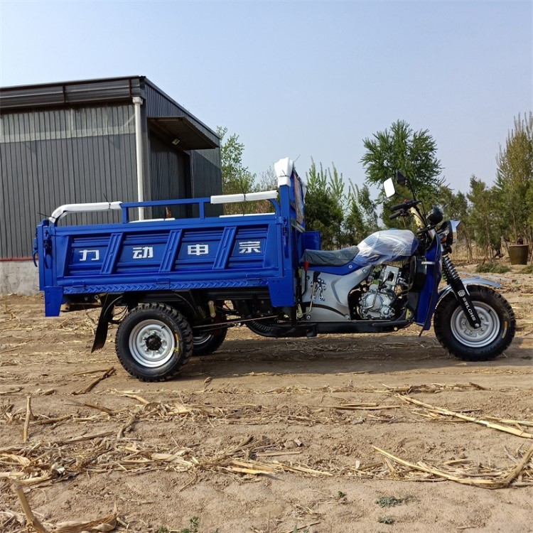 汽油三轮车自卸款宗申175风冷发动机摩托车农用拉货两用车