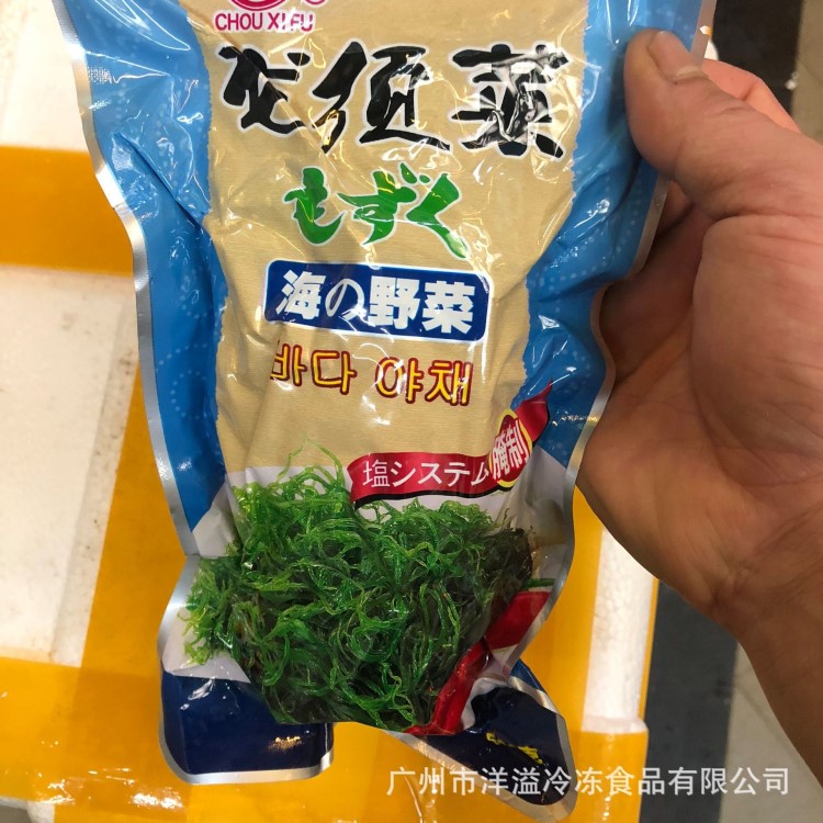 冷凍龍須菜 海藻 海野菜 涼拌食材 廣州 批發(fā) 龍須菜 500克1包