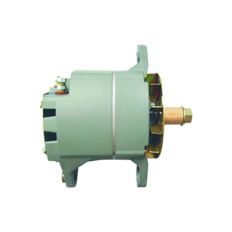 廠家直銷20SI發(fā)電機(jī) JFWZ242起亞24V4發(fā)電機(jī)