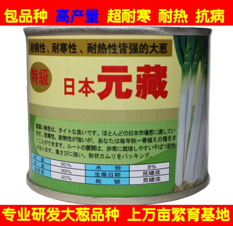 2019年日本大蔥種子 批發(fā)鐵桿特級(jí)元藏蔥種子包郵四季播種蔥桿硬