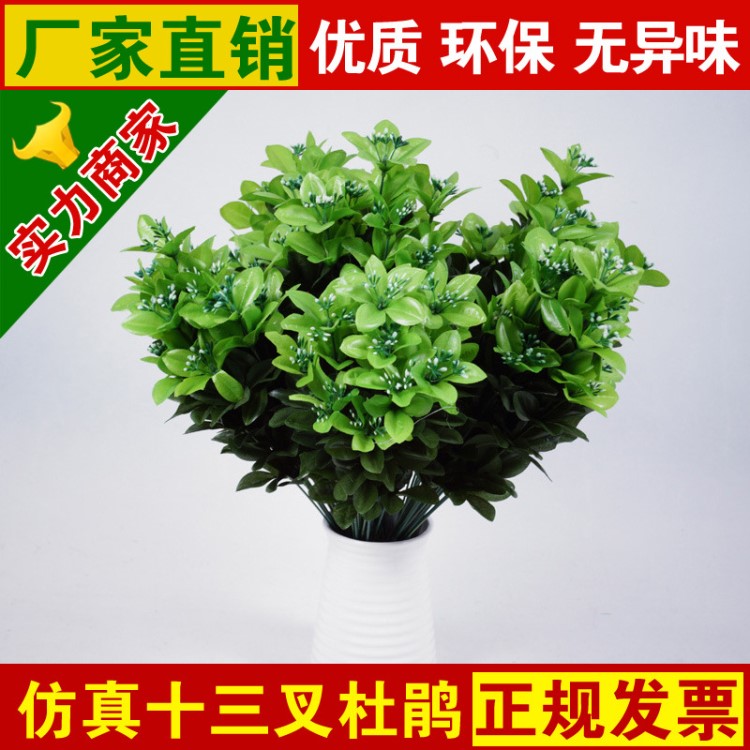 仿真杜鵑葉13叉冬青 批發園林工程擺放綠草 單支批發插花配件