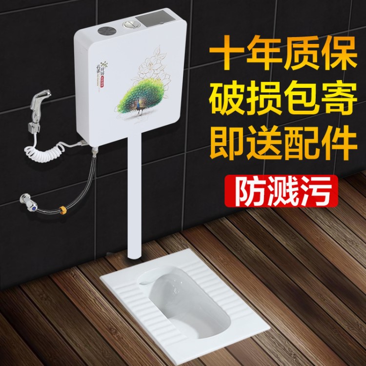 家用蹲便器蹲坑式?jīng)_水箱整套裝廁所大便器便器衛(wèi)生間前排水不帶蹲