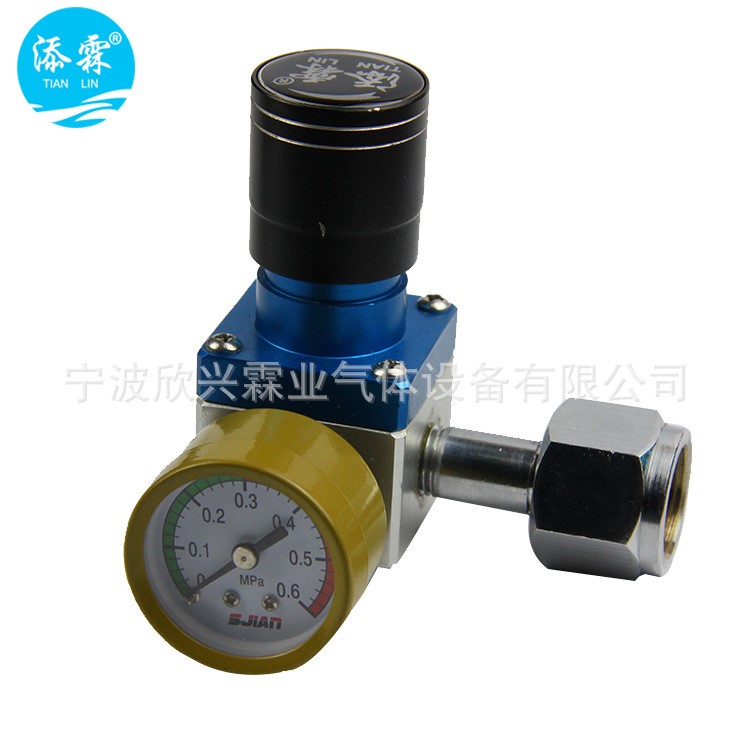 添霖 CO2氣體穩壓器紅酒減壓閥二氧化碳表 啤酒壓力罐減壓表批發