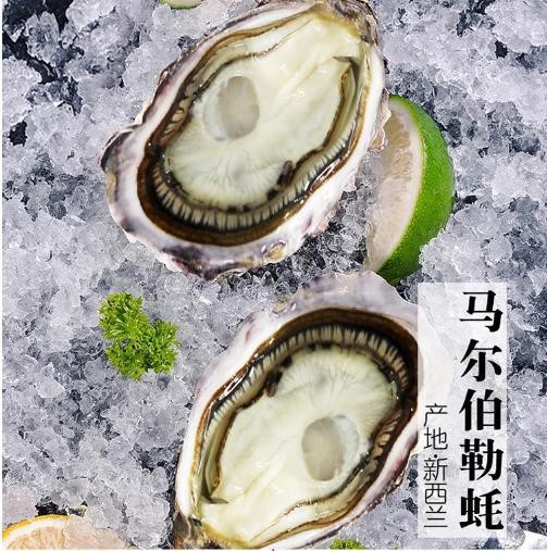 【新西蘭馬爾伯勒生蠔】鮮活牡蠣即食刺身品批發(fā)海鮮肉質(zhì)肥美