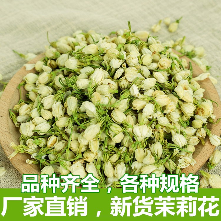 廠家直銷 茉莉花茶 茉莉花蕾 茉莉花干 500克 量大從優(yōu)