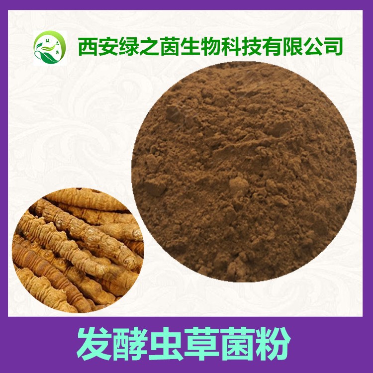 發(fā)酵蟲草菌粉 蝙蝠蛾擬青霉菌粉 CS-4 中國藥典標(biāo)準(zhǔn) 發(fā)酵冬蟲夏草