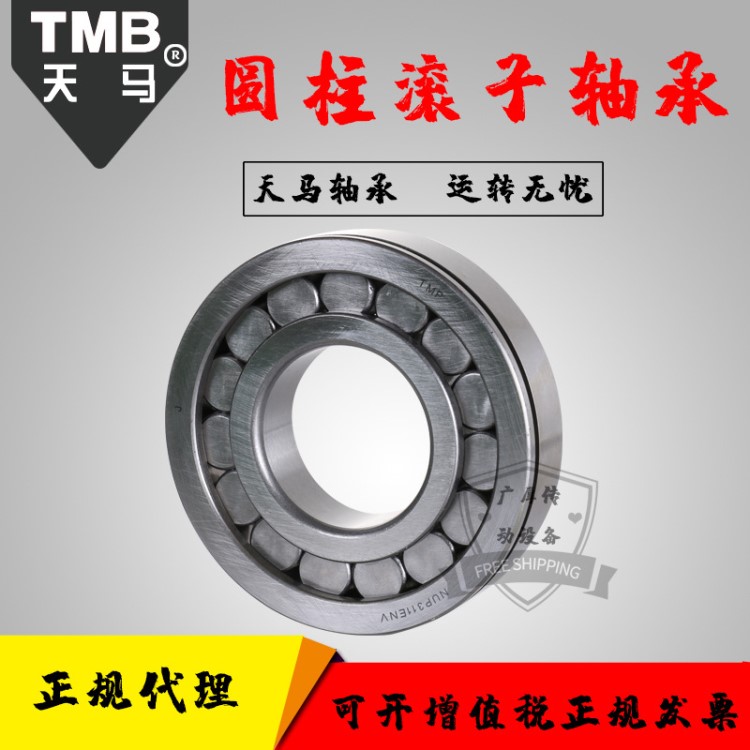 天馬TMB軸承器械專用四列圓柱滾子軸承FC3248124