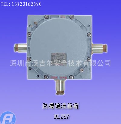 BLZ57防爆鎮流器箱