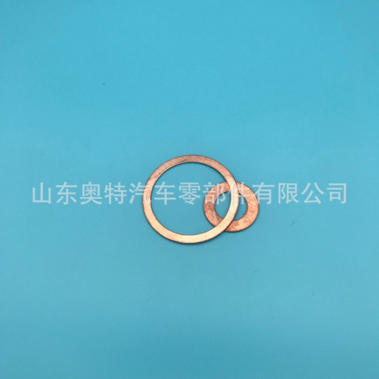 廠家供應(yīng)紫銅墊片 黃銅墊片 退火銅墊 墊片 銅片 銅環(huán)