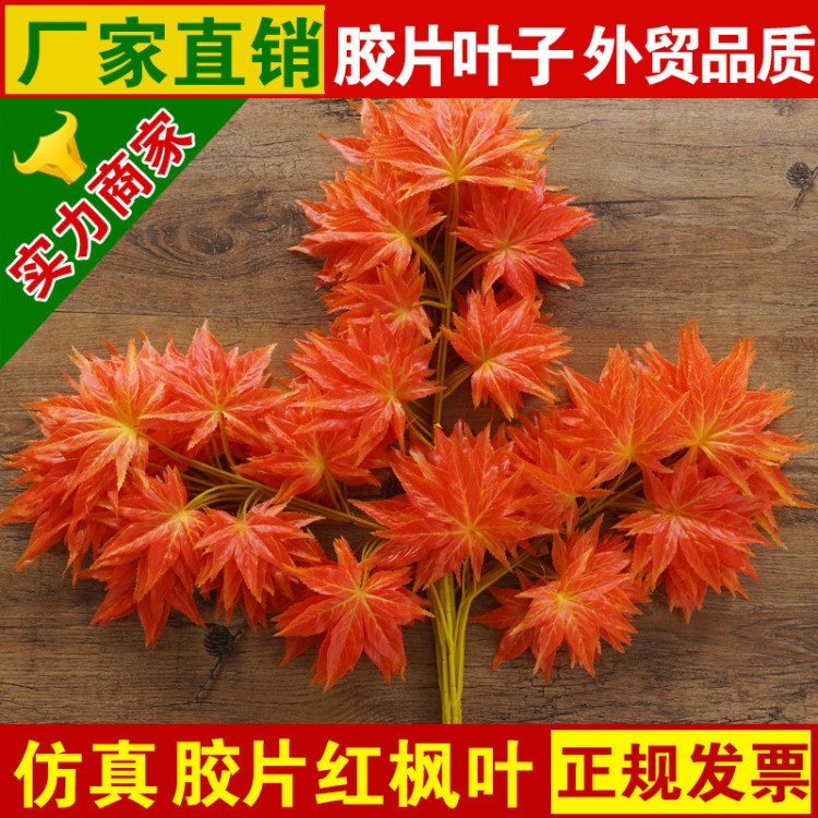 廠家直銷仿真膠片紅楓枝 仿真楓樹葉 景觀園林假紅楓樹葉百草園