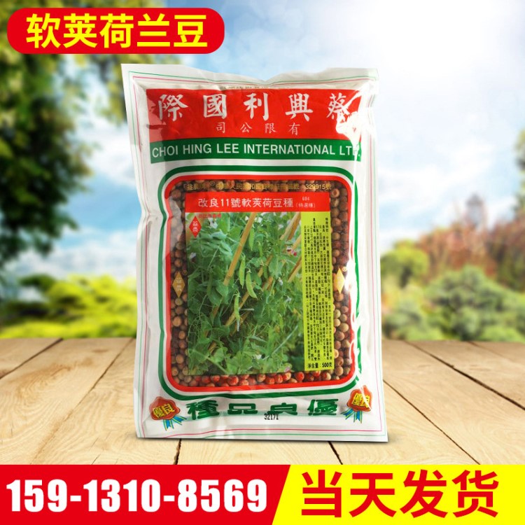 蔡興利荷蘭豆種子 改良11號軟莢荷豆種604特選種子軟莢荷蘭豆500g