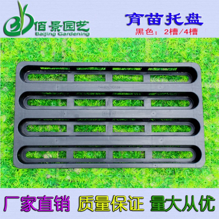 塑料育苗托盤 蝴蝶蘭苗種植容器專用2槽/4槽托架移栽小苗