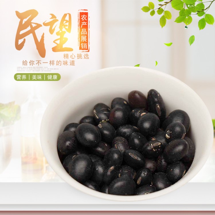 黑青豆食品批發(fā)零售豆?jié){黑豆?jié){原料歡迎詳詢