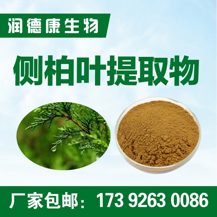 側(cè)柏葉提取物10:1 鋸葉棕提取物 側(cè)柏葉粉 全水溶 廠家包郵