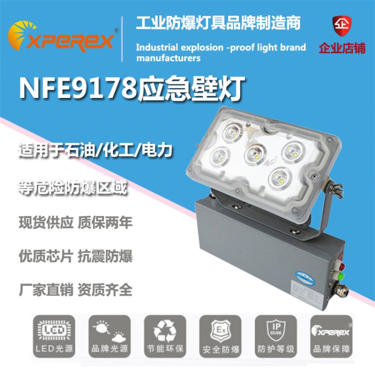 變電站GAD605-J應(yīng)急照明燈NFE9178LED應(yīng)急頂燈廠房樓道防爆照明燈