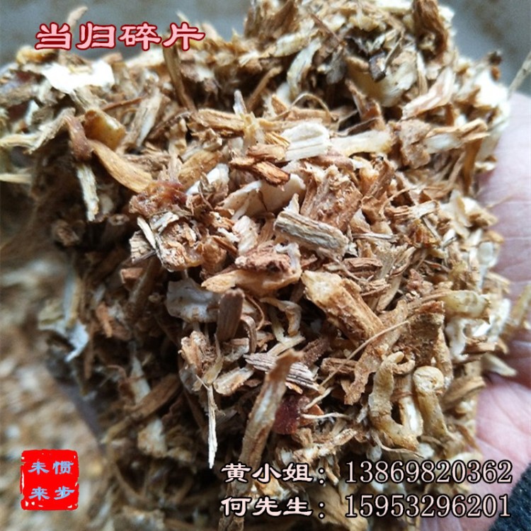 批發(fā)當(dāng)歸碎 500g 甘肅藥食材產(chǎn)地篩選當(dāng)歸頭片碎共香味來(lái)當(dāng)歸碎片