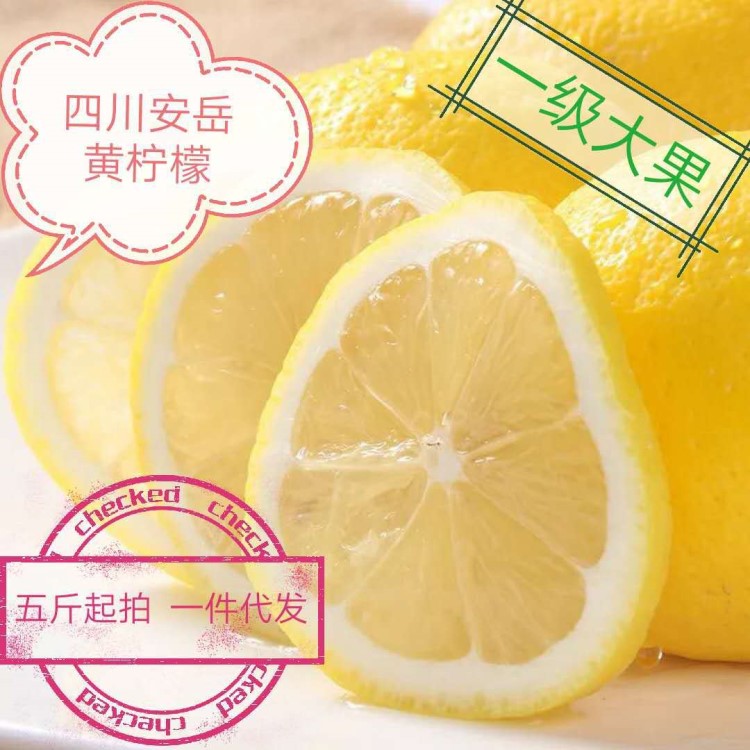 安岳黃檸檬 當(dāng)季新鮮檸檬 一二級(jí)大果單個(gè)220-350克 可以一件代發(fā)