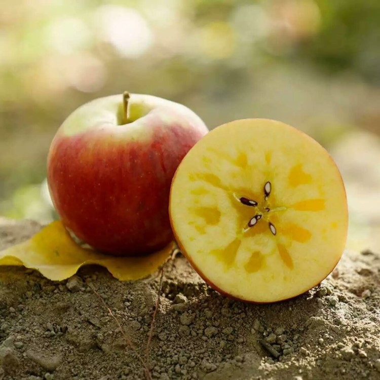 新疆阿克蘇糖心蘋(píng)果5斤裝大果丑蘋(píng)果非紅富士蘋(píng)果一件代發(fā)