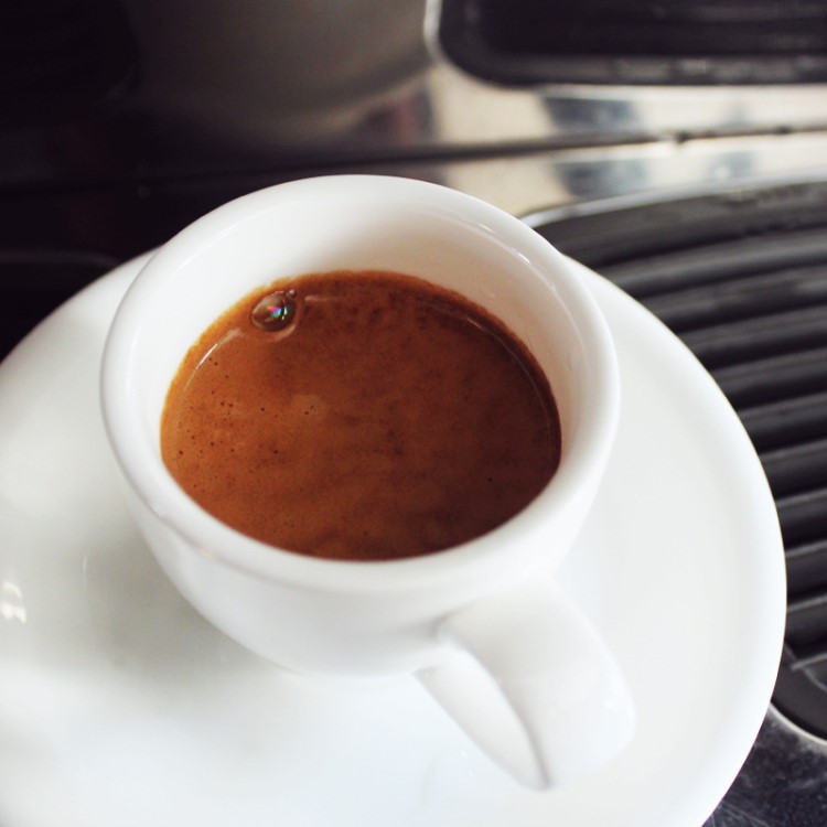 豆豆肥espresso意大利咖啡豆意式浓缩厚油脂可现磨黑咖啡粉454g