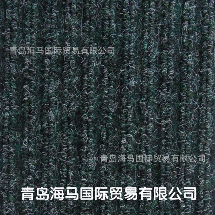 荷蘭雙條紋PVC地墊防塵墊進門墊室外墊定做防水坑毯