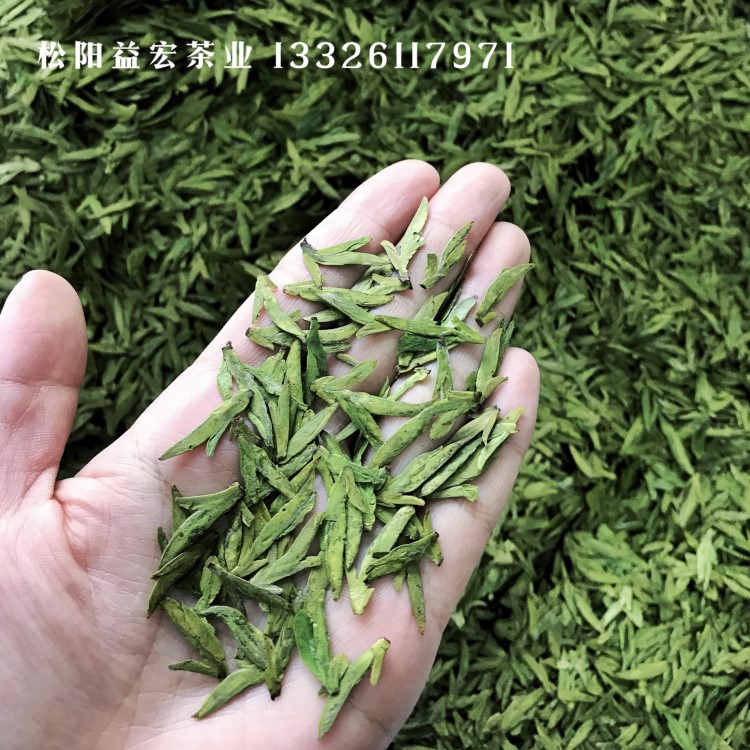 2019新茶春綠版烏牛早浙江綠茶扁茶高山龍井產(chǎn)地直銷散裝茶葉批發(fā)