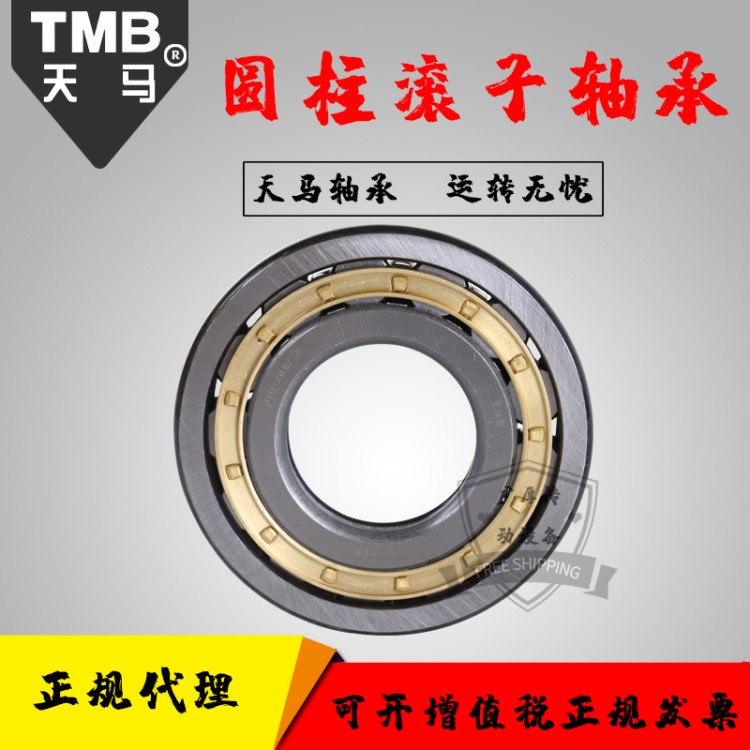 TMB品牌 天馬圓柱滾子系列RNU1022M 292122H 高轉速機械軸承