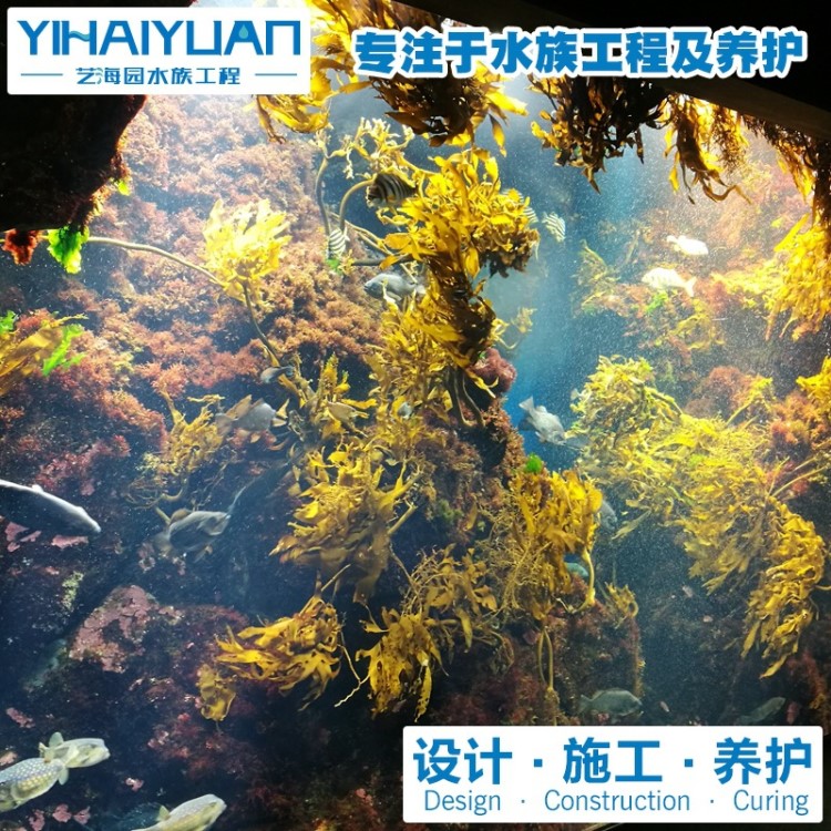 大型鱼缸设计公司|承接鱼缸制作业务 水族工程 亚克力鱼缸设计