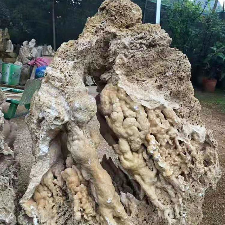 天然上水石原石花園別墅庭院假山石盆景假山制作原材料吸水石批發(fā)