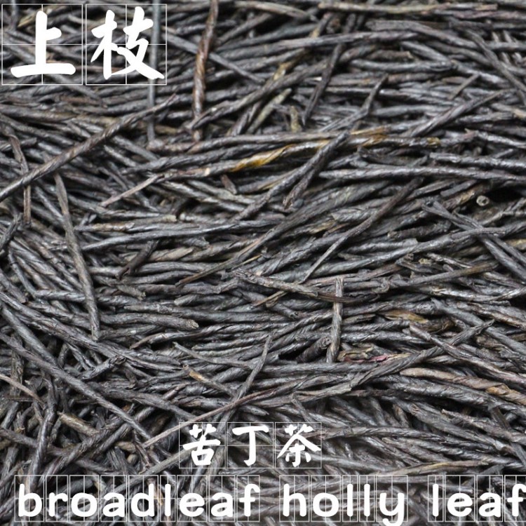 批發大葉苦丁 苦丁茶 各種規格苦丁茶毛冬青 量大從優 上枝供應