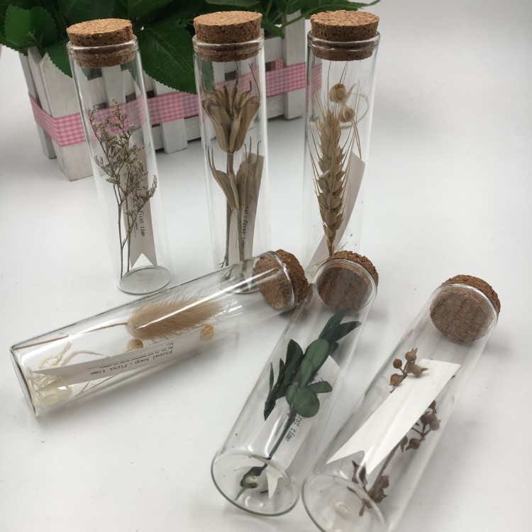 植物紀念圖書館花束瓶狗尾草干草植物禮品北歐風格植物標本漂流瓶